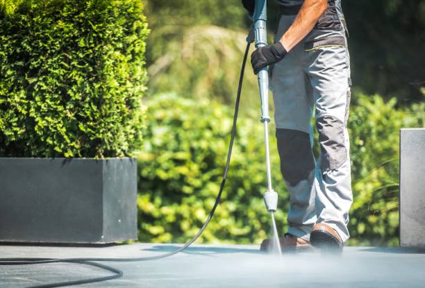 Best Sidewalk and Walkway Cleaning  in Fkville, AL