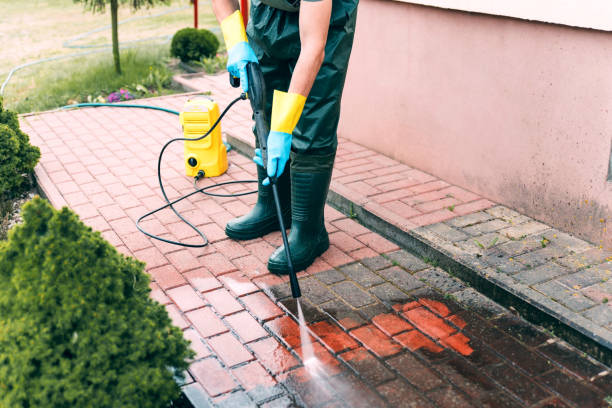 Best Fence Cleaning  in Fkville, AL