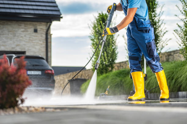 Best Driveway Pressure Washing  in Fkville, AL